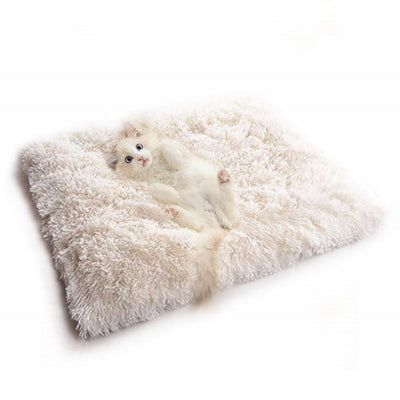 Cama de Terciopelo para Gatos Coreana Premium - Image 5