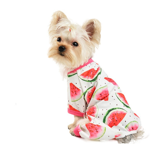 Mono para Mascotas con Estampado de Sandía - Traje de Cuatro Patas - Image 2