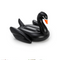 Flotador Cisne Negro