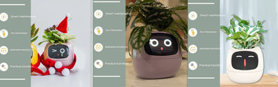 Maceta Inteligente con IA: 49 Expresiones y 7 Sensores para Plantas Felices - Image 52