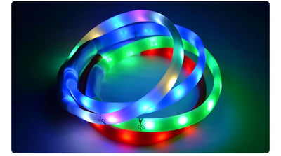Collar Luminoso para Perros - Prevención de Pérdida - Image 4