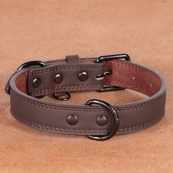 Teal leather pet collar with white stitching, dark metal buckle, and D-ring, displayed on a brown surface. - Image 6