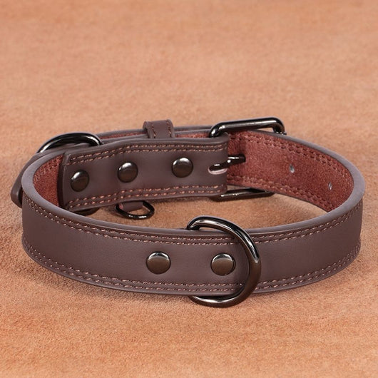 Teal leather pet collar with white stitching, dark metal buckle, and D-ring, displayed on a brown surface. - Image 6