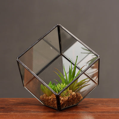 Invernadero de Vidrio Cuadrado Oblicuo - Maceta Transparente para Plantas - Image 4