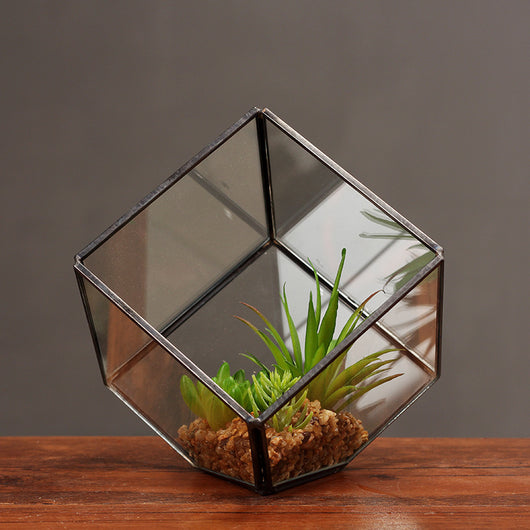 Invernadero de Vidrio Cuadrado Oblicuo - Maceta Transparente para Plantas - Image 4