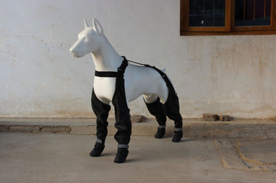 Botines Impermeables para Mascotas con Cinturón Elástico y Reflectivos - Image 11