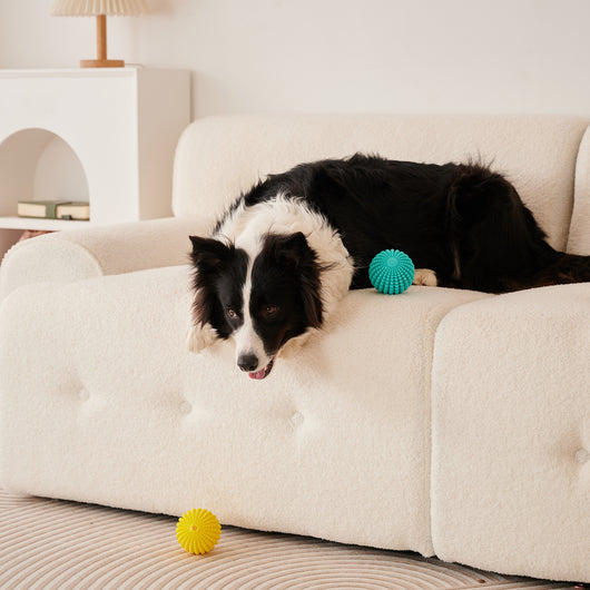 Juguete Masticable Indestructible para Perros Medianos y Grandes - Image 9