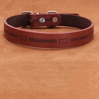 Collar Identificación Perros Medianos y Grandes Antiextravío - Image 9