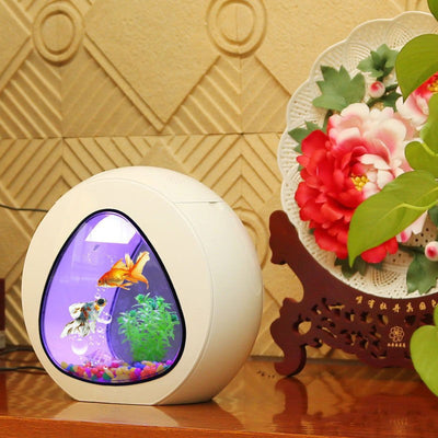 Acuario de Escritorio con Iluminación LED - Image 17