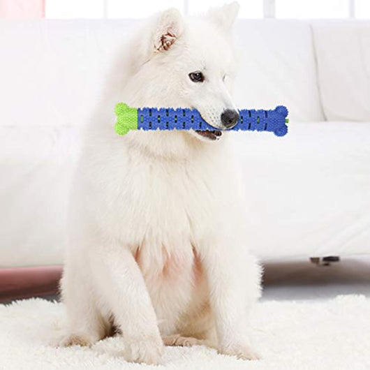 Limpiador Dental Masticable para Perros - Juguete Cepillo de Dientes Azul y Verde - Image 3