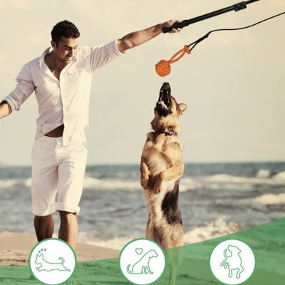 Vara Extensible de Adiestramiento para Perros con Diseño Divertido - Image 5