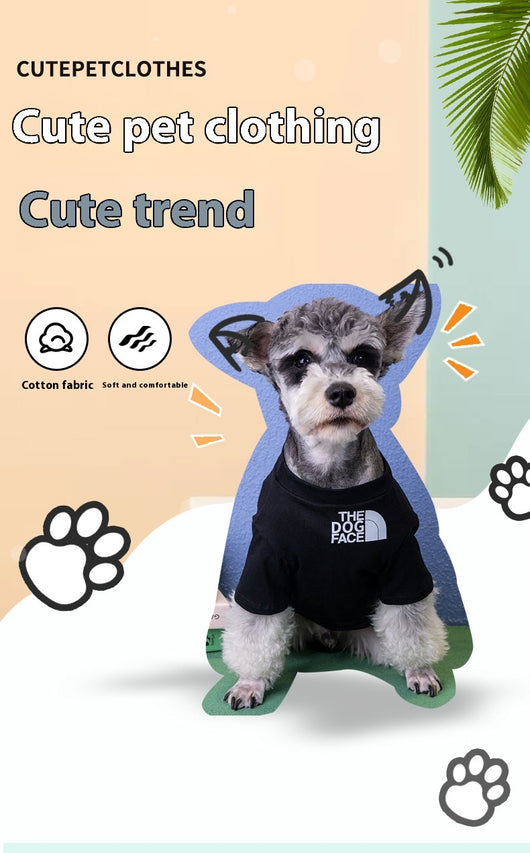 Ropa Antiestática para Mascotas - Protección del Hogar - Image 8