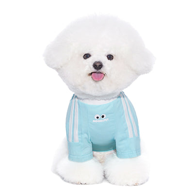 Ropa Delgada para Perros Pequeños y Gatos - Schnauzer - Image 12