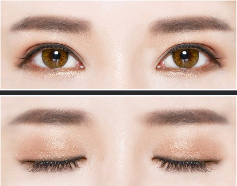 Paleta de Sombras Kelly 12 Colores - Acabado Mate Profesional - Image 9