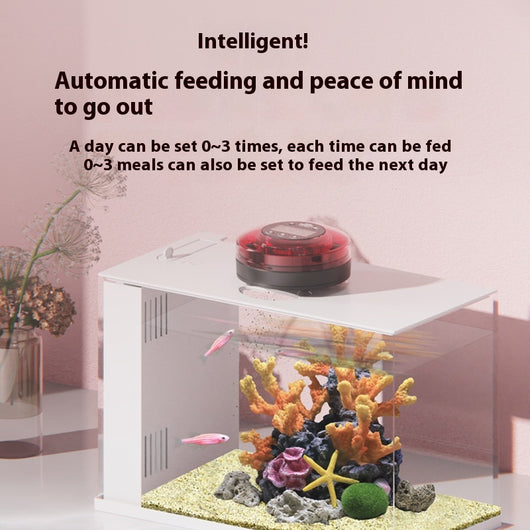 Alimentador Automático Inteligente para Acuarios - Image 3
