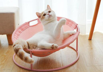 Cama Térmica para Gatos de Cuatro Estaciones - Image 5