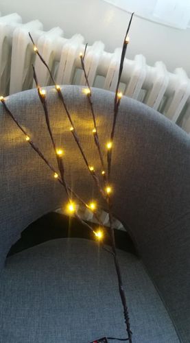 Luces Decorativas de Ramas con 20 LEDs para Interiores - Image 14