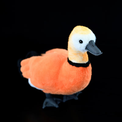 Peluche Pato Rojo Único y Fashionable - Image 12