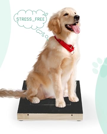 Tabla de Rascado para Uñas de Perros - Limador Natural con Caja de Premios - Image 10