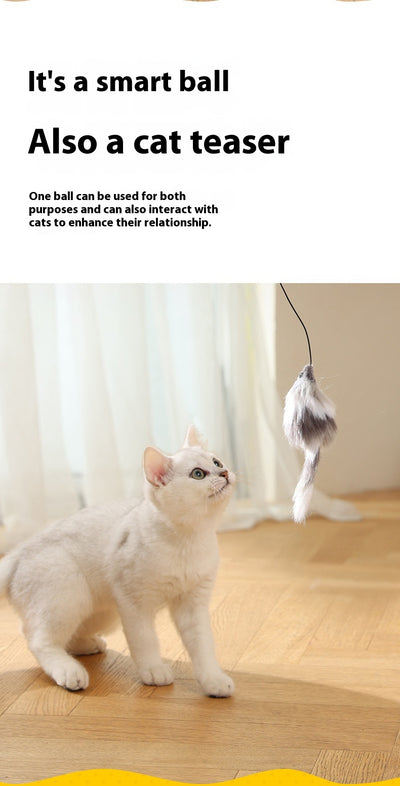Blue and orange automatic pet toy ball with an attached plush mouse teaser featuring blue and orange fur and a light blue feather tail. - Image 10