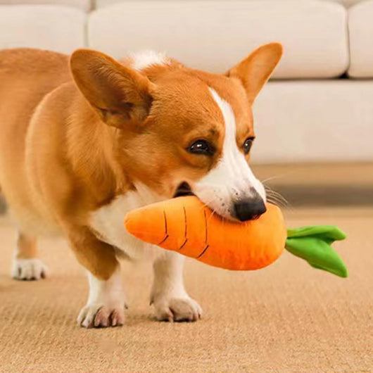 Juguete Masticable de Zanahoria Suave con Sonido Chirriante para Perros - Image 11