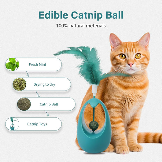 Juguete Interactivo para Gatos con Hierba Gatera y Pelotas Comestibles - Image 8