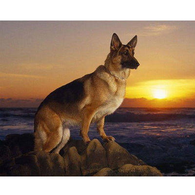 Cuadro de Diamantes Atardecer con Perro - Kit DIY Completo - Image 5