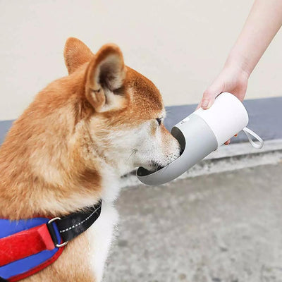 Botella de Agua para Mascotas con Sistema Anti-Derrames