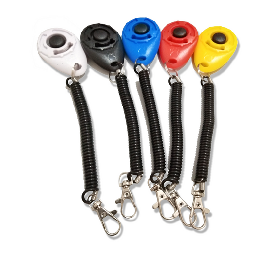 Turquoise dog training clicker with a black button and paw print, attached to a black coiled lanyard with a silver lobster clasp.