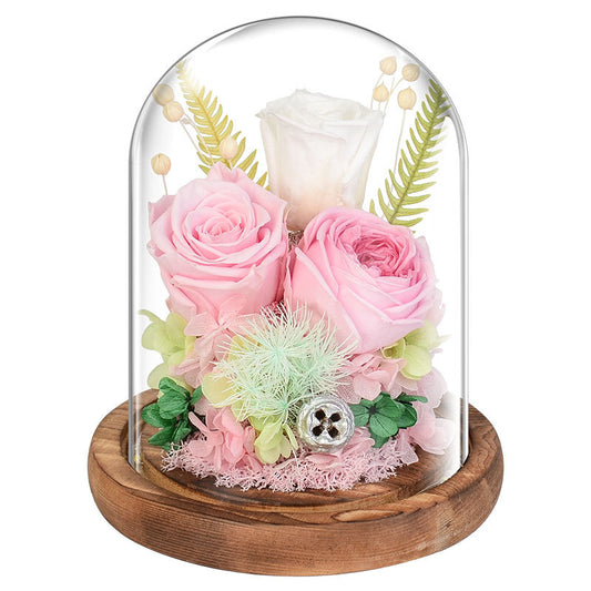 Rosa Eterna en Cúpula de Cristal - Regalo Perfecto para San Valentín - Image 2