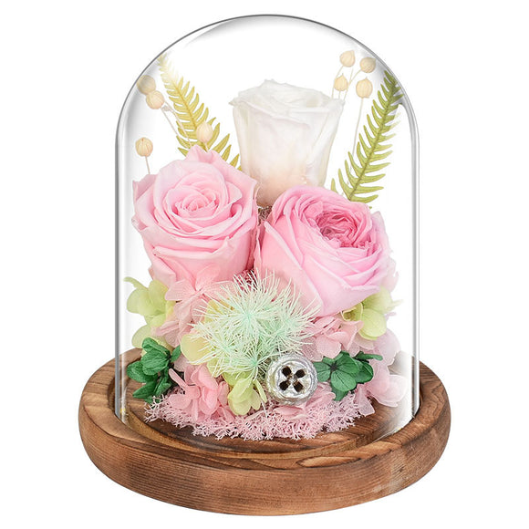 Rosa Eterna en Cúpula de Cristal - Regalo Perfecto para San Valentín
