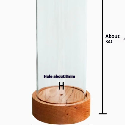 Maceta de Cristal para Suculentas - Diseño Artesanal Elegante - Image 7