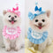 Pañuelo Fiesta Cumpleaños Perro y Gato - Babero Bandana Mascota con Diseño Joyero