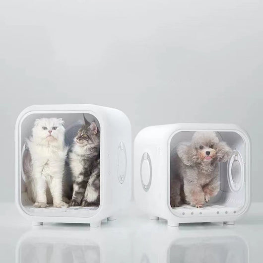Secador Automático de Pelaje para Gatos - Image 9