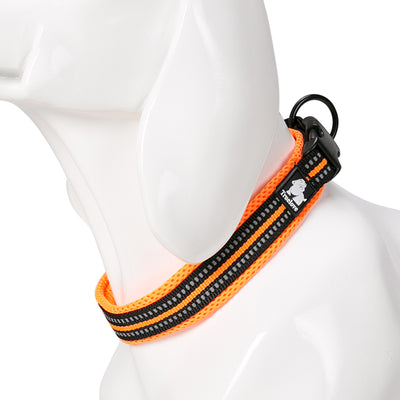 Collar para Perro de Nylon Reflectante Ajustable - Image 14