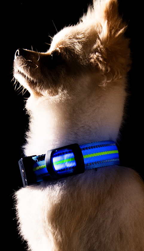 Collar Inteligente para Mascotas con Fibra Óptica, Impermeable y Carga Magnética - Image 16