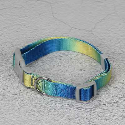 Juego de Correa para Perro Degradado Multicolor - Image 8