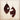 **Leather Oval Earring-Axis Deer Hide 209qq