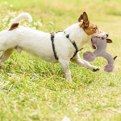 Juguete Interactivo para Perros Grandes - Peluche Chirriante Resistente - Image 15