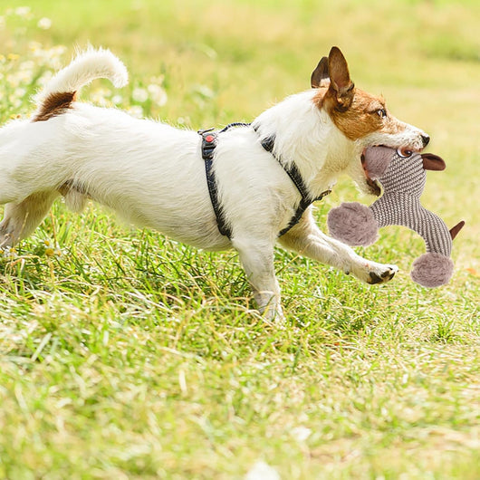 Juguete Interactivo para Perros Grandes - Peluche Chirriante Resistente - Image 15