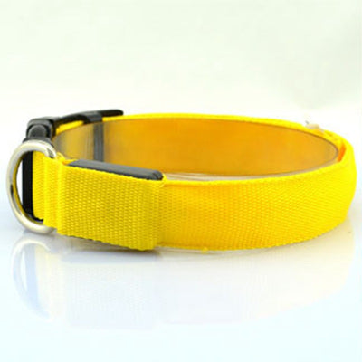 Collar Luminoso Fluorescente para Perros - Image 6