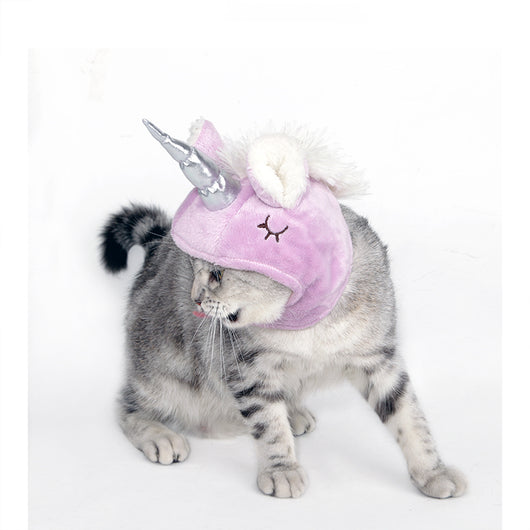 Sombrero Disfraz para Mascotas - Gato Arrastrable Universal Halloween - Image 9