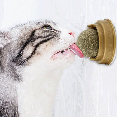 Catnip ball with a rotating base, designed for cats as a treat and molar teeth cleaning toy.