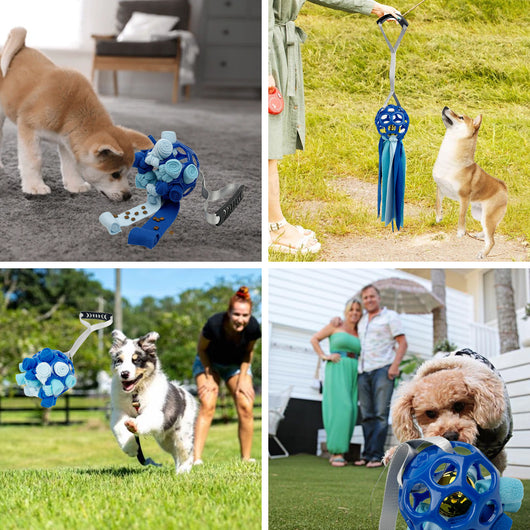 Pelota Interactiva Hueca con Sonido para Perros y Gatos - Juguete Educativo con Campana - Image 14