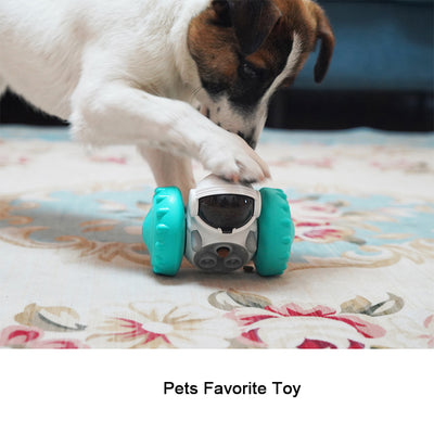Juguete Interactivo Dispensador de Premios para Perros - Comedero Lento Puzzle Equilibrio - Image 19