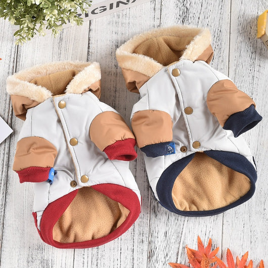 Suéter Térmico para Perros Pequeños y Medianos - Image 14