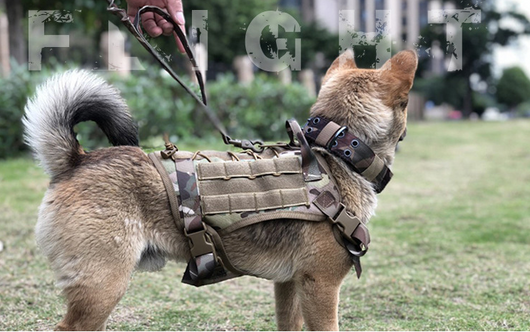 Chaleco Táctico de Camuflaje para Mascotas - Image 15