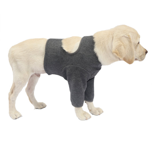 Protectores de Patas Delanteras para Perros - Doble Protección - Image 13