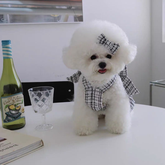 Falda Cabestrillo para Perros - Ropa Cómoda y Elegante - Image 10