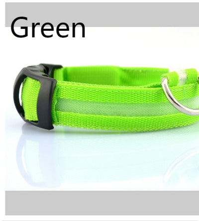 Collar LED de Seguridad para Perros - Image 13